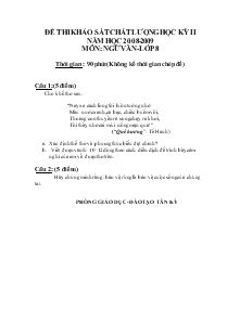 Đề thi khảo sát chất lượng học kỳ II năm học 2008-2009 môn: ngữ văn-lớp 8