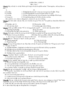 Kiểm tra 15 phút môn :văn 7