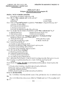 Đề 14 kiểm tra khảo sát học kỳ 2