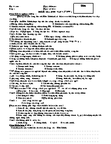 Kiểm tra:ngữ văn 9 (15 phút)