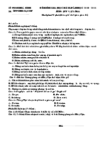Đề kiểm tra học kỳ II năm học 2010 - 2011 Môn: Ngữ Văn Lớp 11 Trường THPT Lạc Sơn