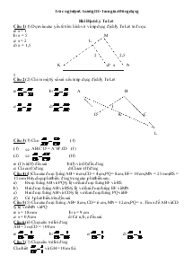 Trắc nghiệm Chương III-Tam giác Đồng dạng
