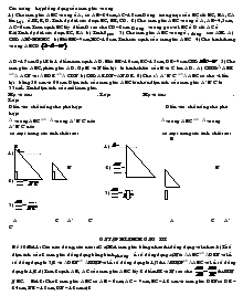 Các trường hợp đồng dạng của tam giác vuông