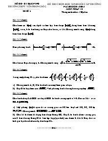 Đề thi chọn học sinh giỏi cấp trường THPT Yên Phong số 2 năm học 2012-2013 môn: Toán 12 - Đề 2