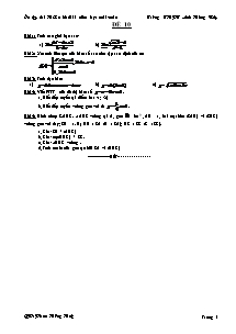 Đề thi học kỳ 2 Toán 11 - Đề 10