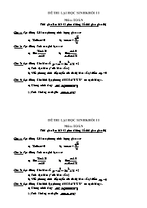 Đề thi lại học sinh khối 11 môn: Toán